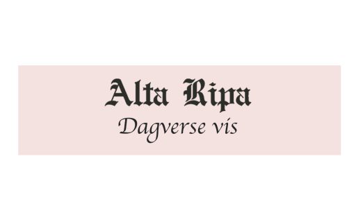 DAGVERSE VIS
